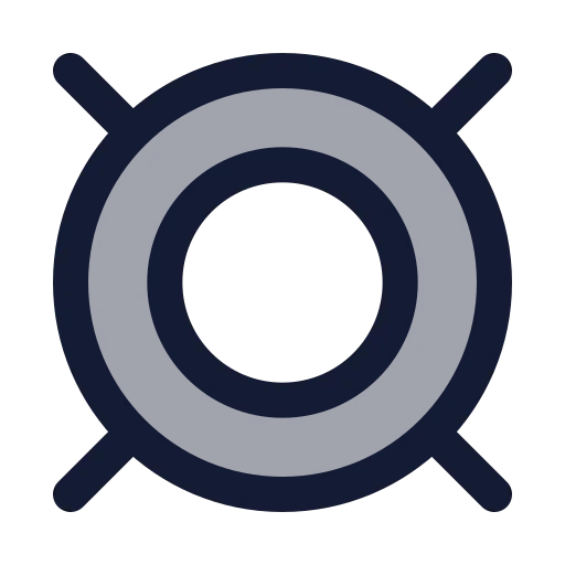 Currency Icon in Duotone Rounded style