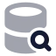 Databasesearch icon with bulk rounded style