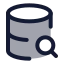 Databasesearch icon with duotone rounded style