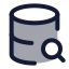 Databasesearch icon with duotone standard style