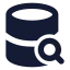 Databasesearch icon with solid standard style