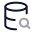 Databasesearch icon with twotone rounded style