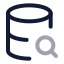 Databasesearch icon with twotone rounded style
