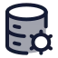 Databasesetting icon with duotone rounded style