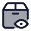 Deliveryview icon with duotone standard style