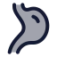 Digestion icon with duotone rounded style
