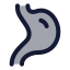 Digestion icon with duotone standard style