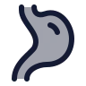 Digestion icon preview