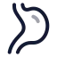 Digestion icon with twotone rounded style