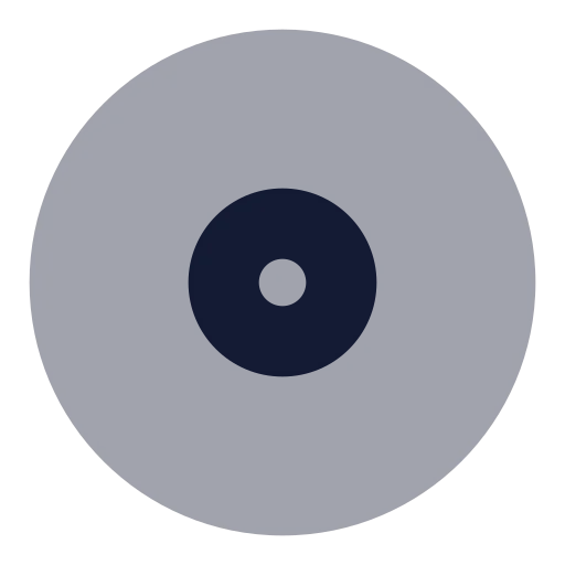 Disc 2 Icon in Bulk Rounded style