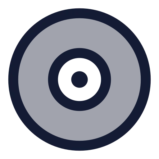 Disc 2 Icon in Duotone Rounded style