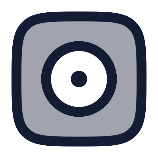 Disc Album Icon in Duotone Rounded style