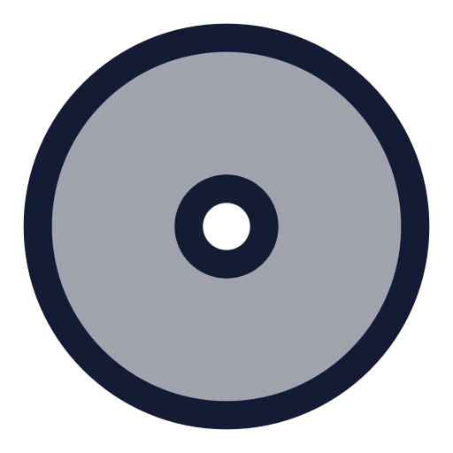 Disc Icon in Duotone Rounded style