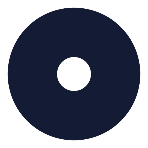 Disc Icon in Solid Rounded style