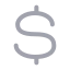 Dollar icon with duotone rounded style