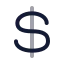 Dollarsign icon with twotone rounded style