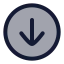 Downloadcircle icon with duotone rounded style