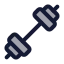 Dumbbell icon with duotone standard style