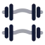 Dumbbell icon with bulk rounded style