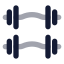 Dumbbell icon with bulk rounded style