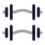 Dumbbell icon with twotone rounded style