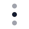 Ellipsis Vertical icon preview
