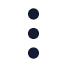 Ellipsis Vertical icon preview