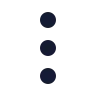 Ellipsis Vertical icon preview
