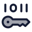 Encrypt icon with duotone standard style