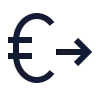 Euro Send icon preview