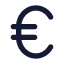Euro icon with solid standard style
