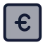 Eurosquare icon with duotone standard style