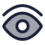 Eye icon with duotone rounded style