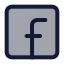 Facebook icon with duotone standard style