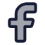 Facebook icon with duotone rounded style