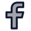 Facebook icon with duotone standard style
