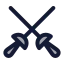 Fencing icon with duotone rounded style