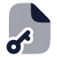 Filekey icon with bulk rounded style