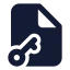 Filekey icon with solid standard style