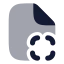 Filescan icon with bulk rounded style