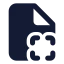 Filescan icon with solid standard style