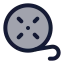 Filmroll icon with duotone rounded style