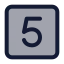 Fivesquare icon with duotone standard style