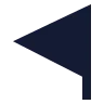 Flag Triangle Left icon preview