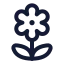 Flower icon with stroke rounded style