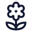 Flower icon with stroke sharp style