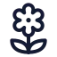 Flower icon with stroke standard style