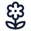 Flower icon with stroke standard style