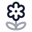 Flower icon with twotone rounded style