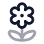 Flower icon with twotone rounded style